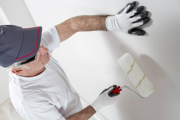 Best Comprehensive Air Testing for Mold Contaminants  in Summersville, WV