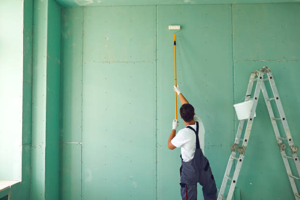 Best Real Estate Mold Inspection  in Summersville, WV