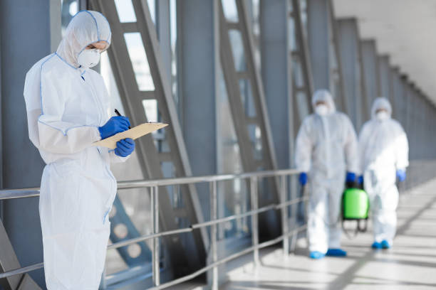 Trusted Summersville, WV Mold Removal Experts