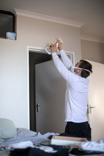 Best Mold Damage Restoration  in Summersville, WV