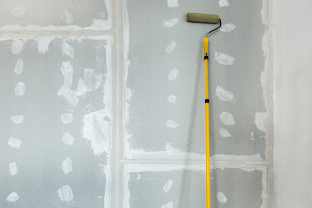 Best Attic Mold Removal  in Summersville, WV