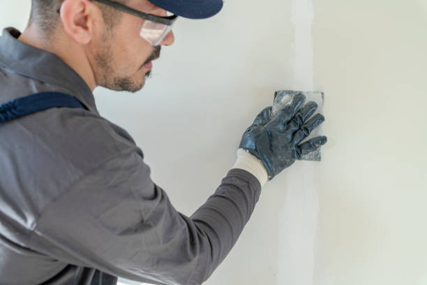 Best Crawl Space Mold Remediation  in Summersville, WV