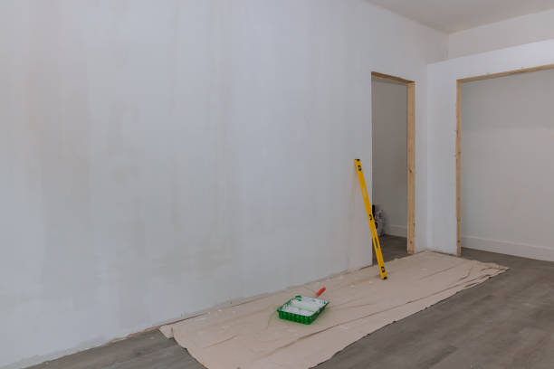 Best Forensic Mold Investigation  in Summersville, WV