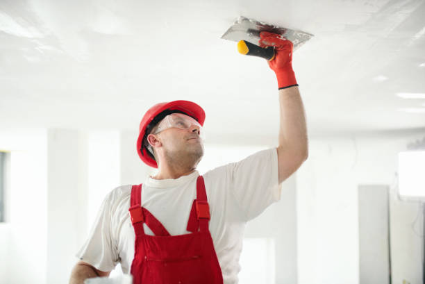 Best Mold Damage Restoration  in Summersville, WV