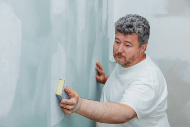 Best Air Quality Testing for Mold Spores  in Summersville, WV