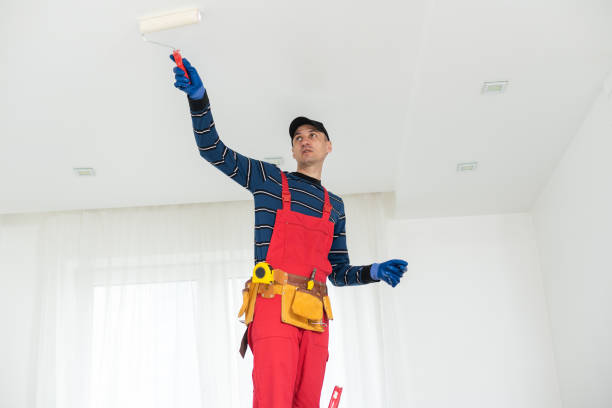 Best Mold Removal for HVAC Installations  in Summersville, WV