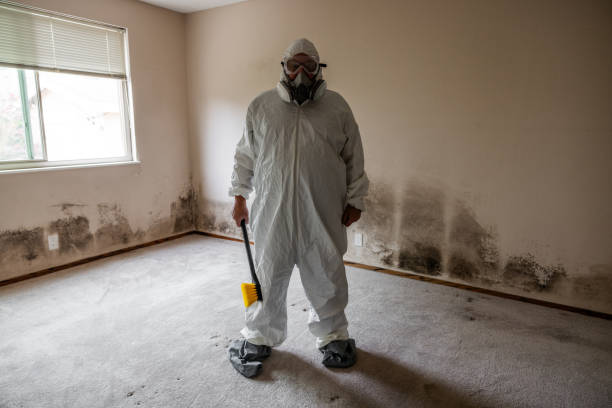 Best Commercial Mold Inspection  in Summersville, WV