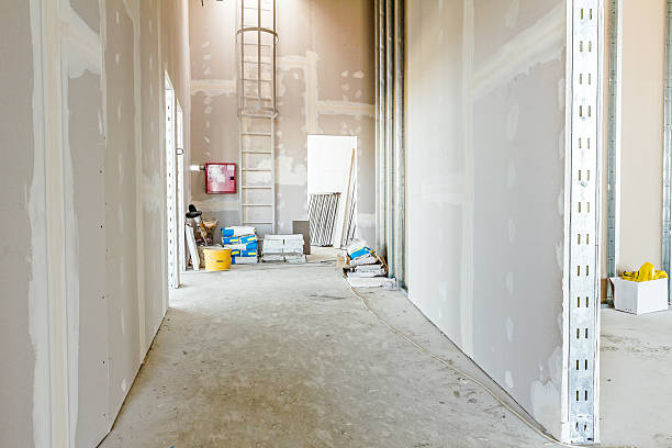 Best Residential Mold Inspection & Testing  in Summersville, WV