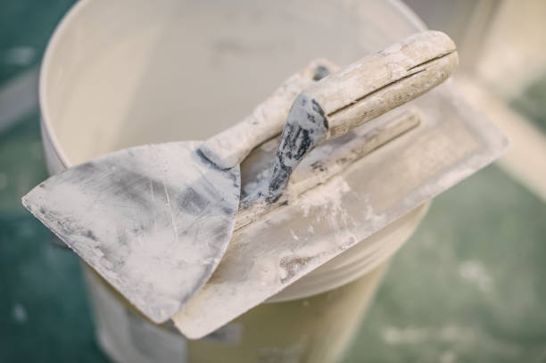 Best Mold Remediation for Healthcare Facilities  in Summersville, WV